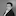 Image in slider coaches