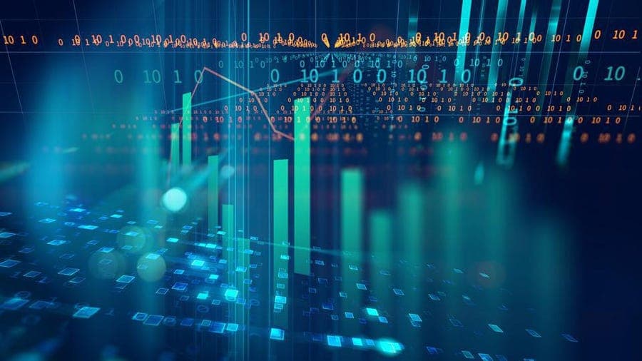 Picture of the training program