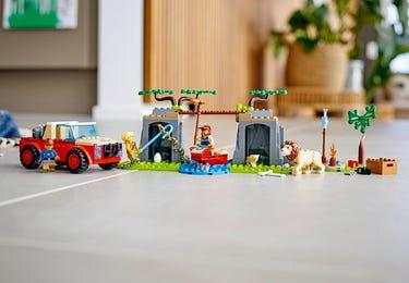 Picture of the training program